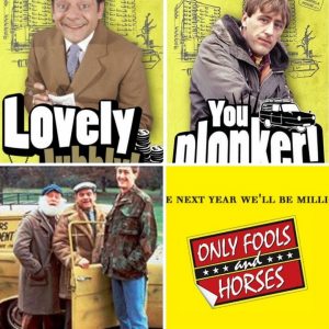 The best Only Fools and Horses Quotes